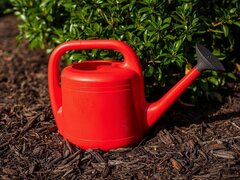 Eine rote Gießkanne aus Kunststoff steht auf dunklem Mulchboden vor einem grünen Strauch.